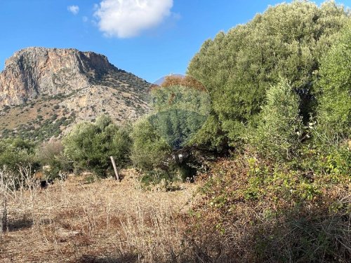 Landbouwgrond in Terrasini