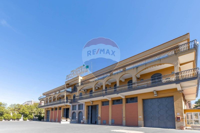 帕拉戈尼亚商业房产