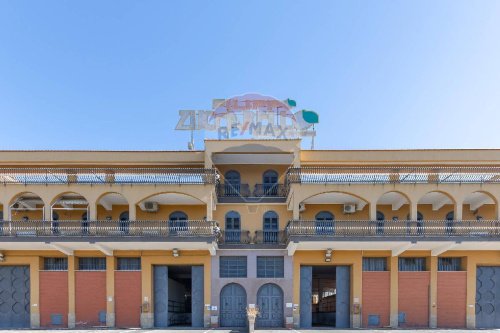 帕拉戈尼亚商业房产