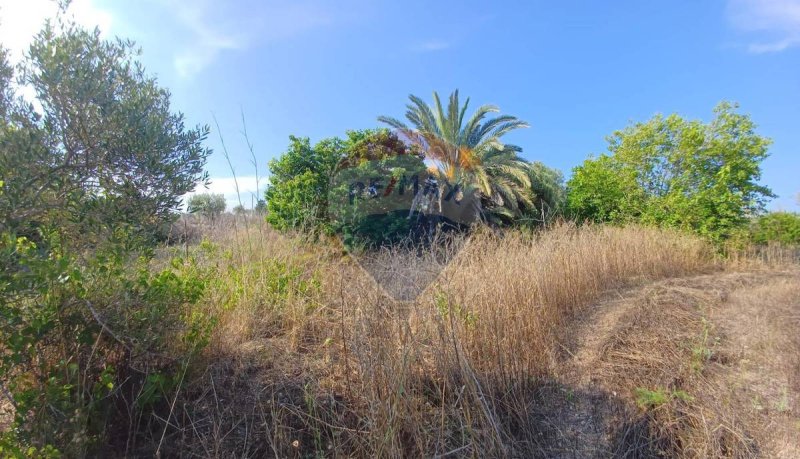 Terreno agricolo a Noto