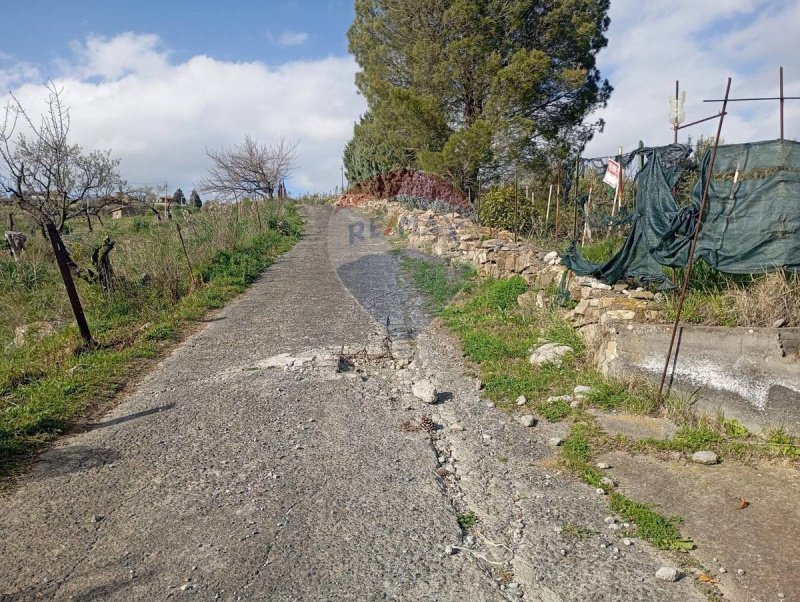 布龙泰农用土地