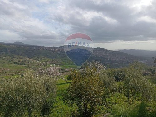 布龙泰农用土地