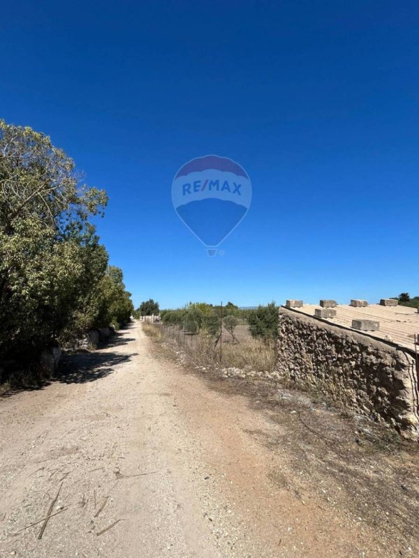 Landwirtschaftliche Fläche in Pachino