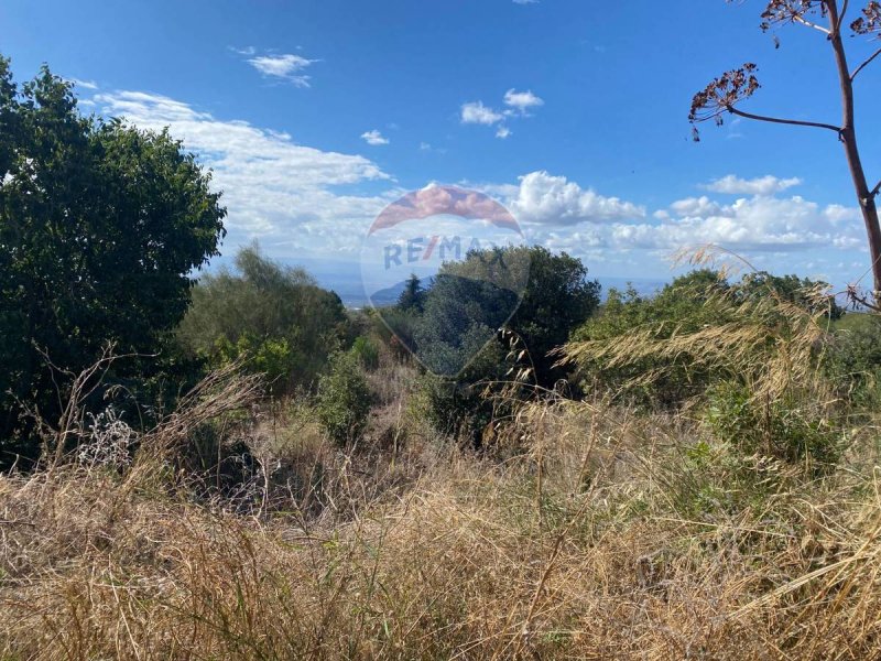 Jordbruksmark i Ragalna