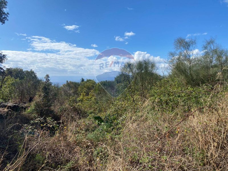 Jordbruksmark i Ragalna