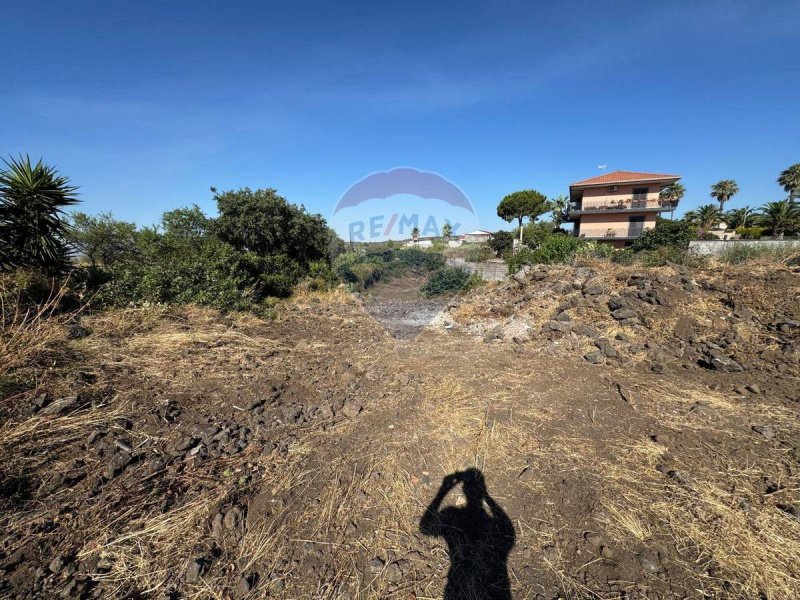 Terrain agricole à Mascalucia