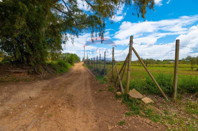 卡尔塔吉罗内别墅