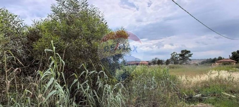 Landbouwgrond in Catanië