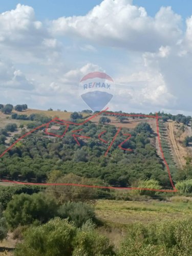 卡尔塔吉罗内农用土地