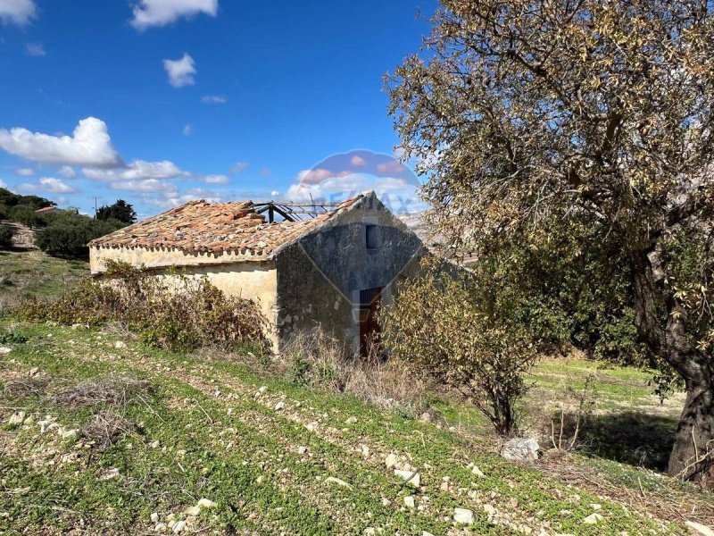 Jordbruksmark i Castellammare del Golfo