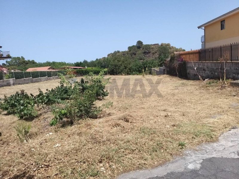 Landbouwgrond in Pedara