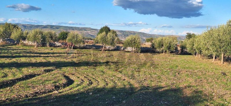 Landbouwgrond in Rosolini