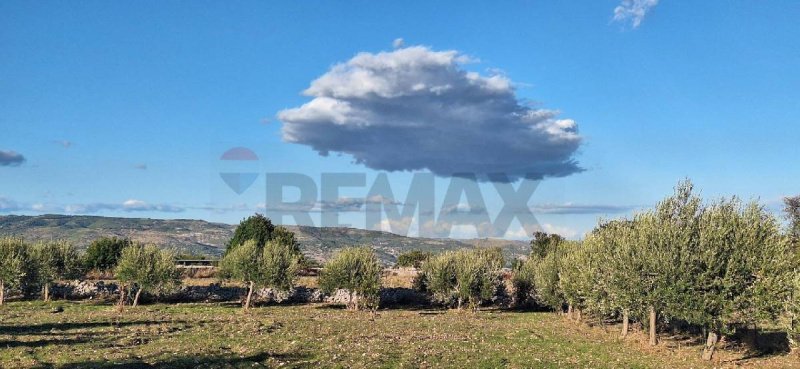 Landbouwgrond in Rosolini