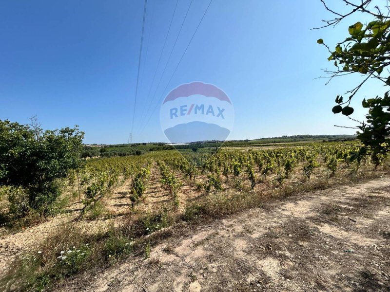 Landbouwgrond in Noto