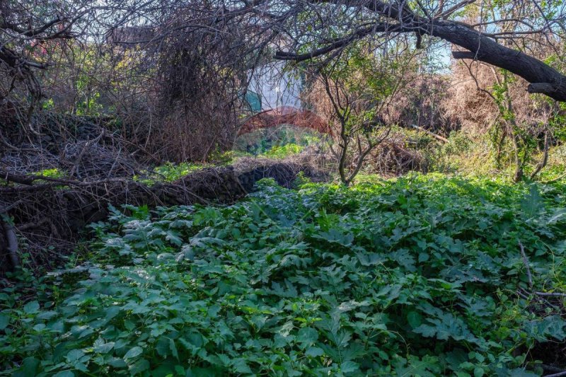 Terreno para construção em San Gregorio di Catania
