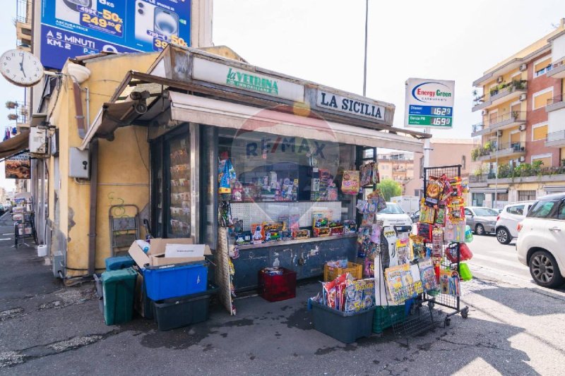 Zakelijk onroerend goed in Catanië