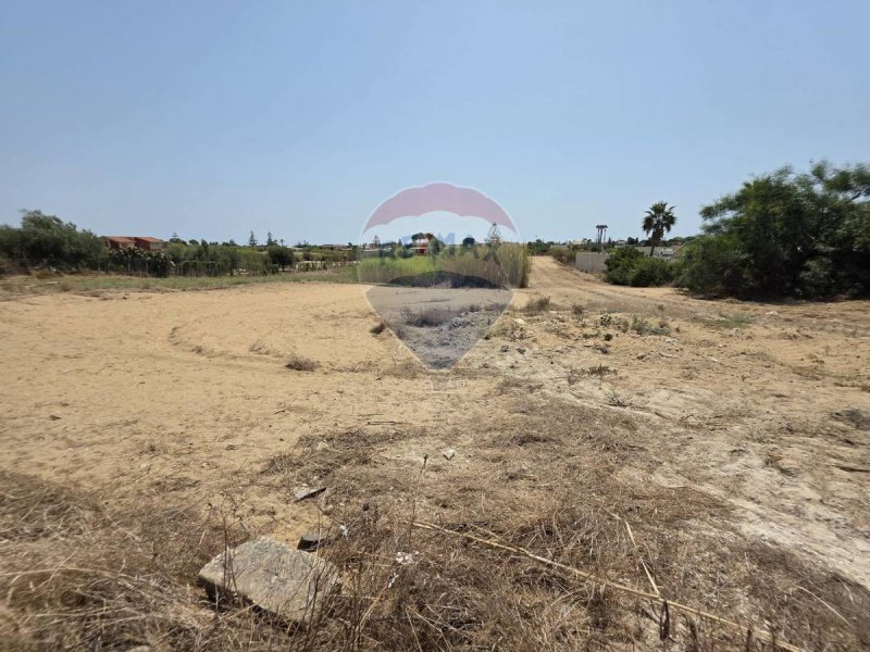 伊斯皮卡农用土地