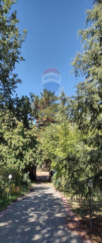 阿德拉诺农用土地