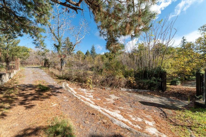 Landbouwgrond in Adrano