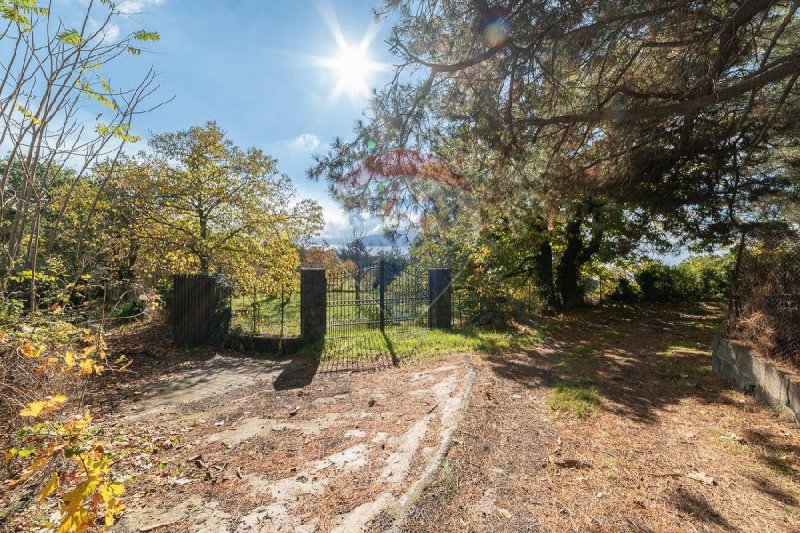 阿德拉诺农用土地