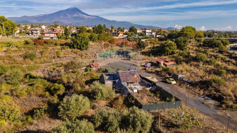 Landwirtschaftliche Fläche in Mascalucia