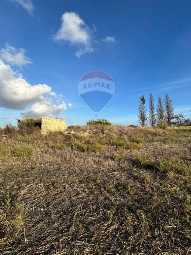 Сельскохозяйственный участок в Пакино