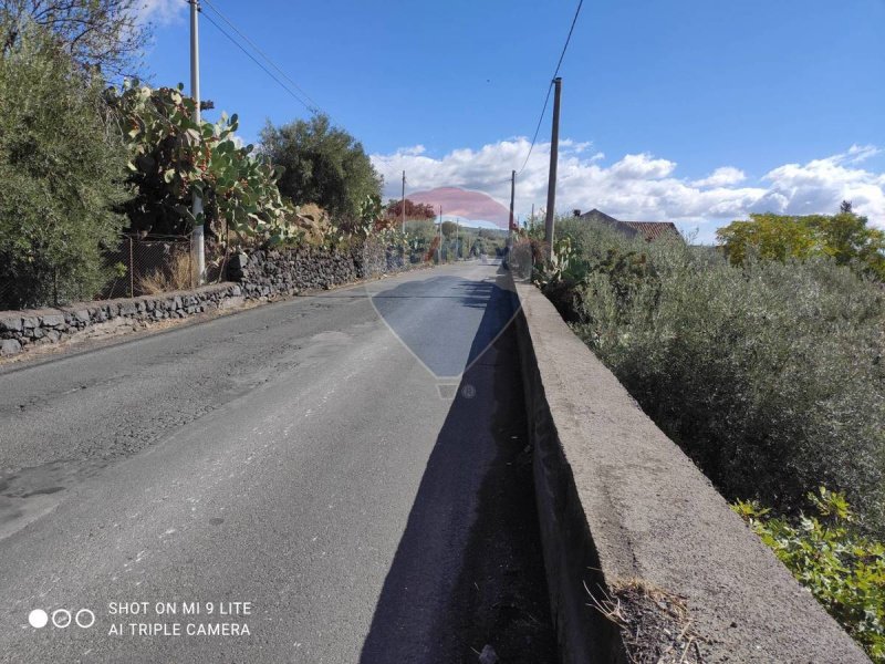 Jordbruksmark i Paternò