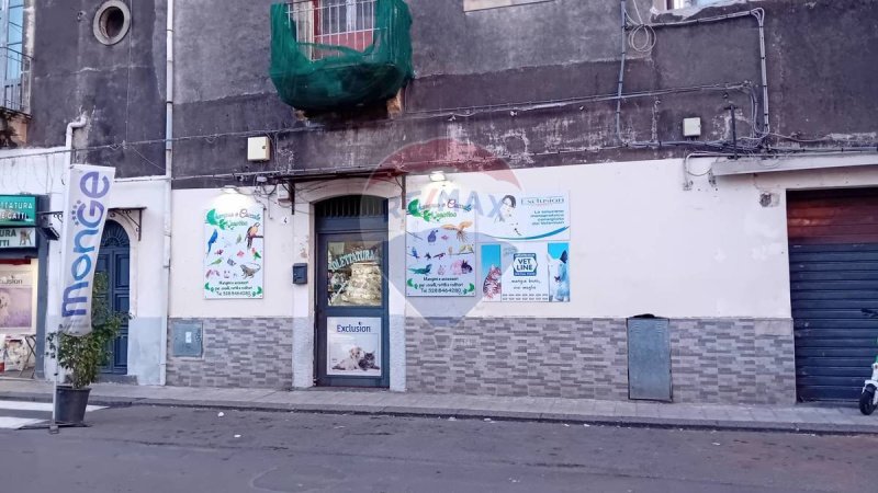 Zakelijk onroerend goed in Catanië