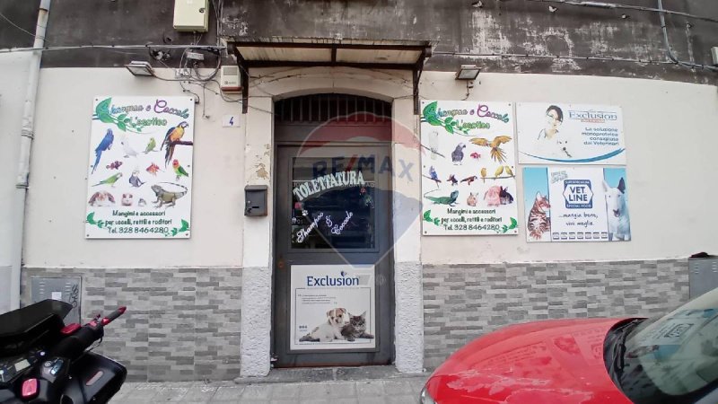 Zakelijk onroerend goed in Catanië