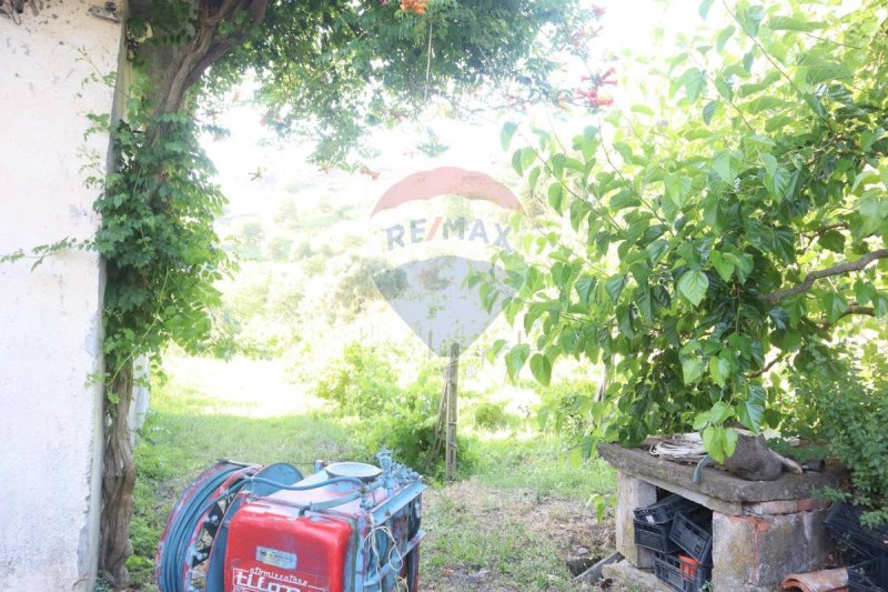 Особняк в Кастильоне-ди-Сицилия