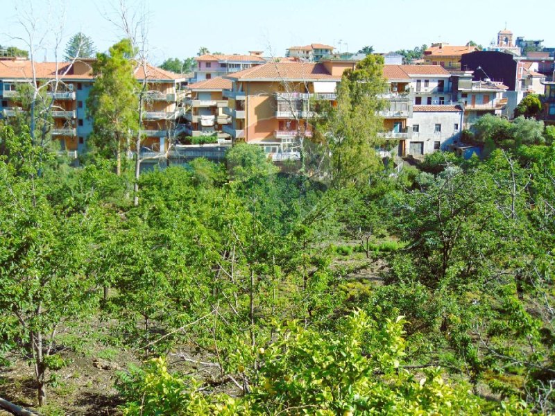 Agricultural land in Santa Venerina