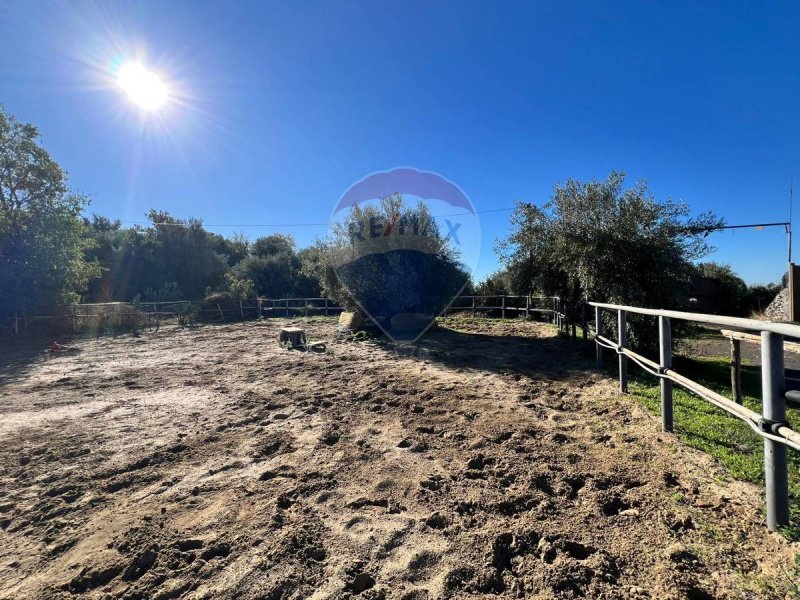 Сельскохозяйственный участок в Бельпассо