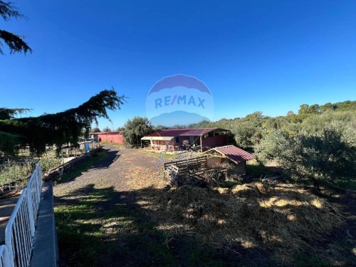 Сельскохозяйственный участок в Бельпассо