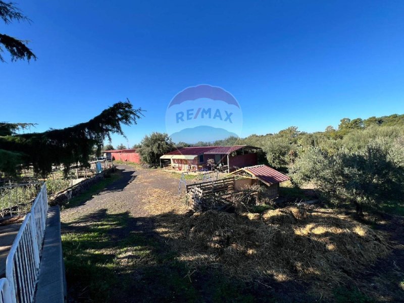 Сельскохозяйственный участок в Бельпассо