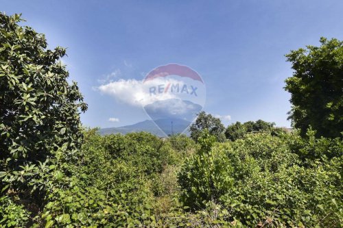 Сельскохозяйственный участок в Ачиреале