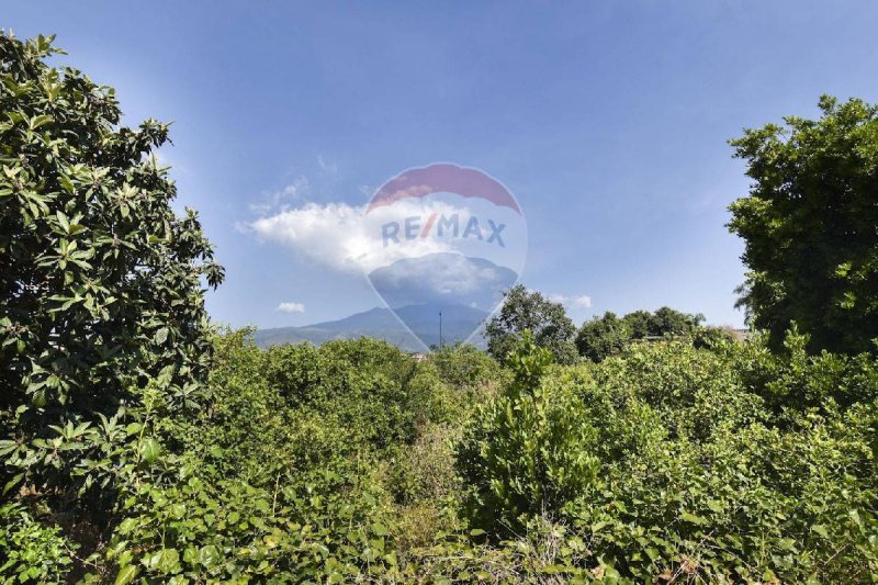 Сельскохозяйственный участок в Ачиреале