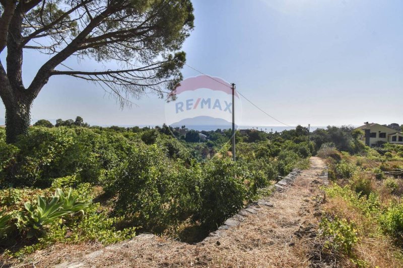 阿奇雷亚莱农用土地