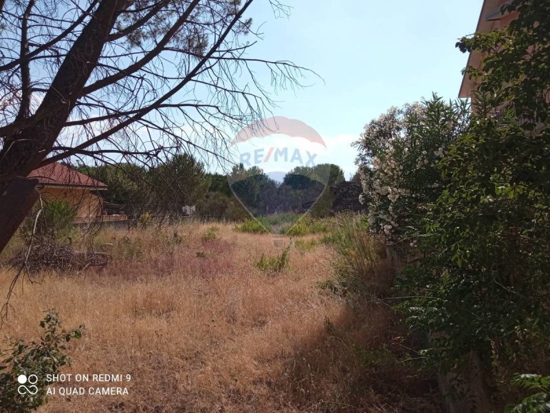 Terrain à bâtir à Pedara