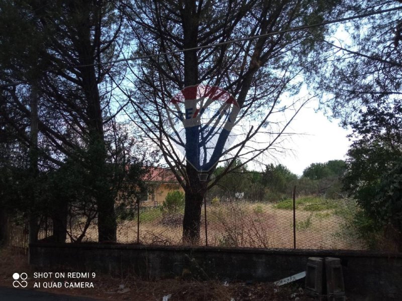 Terrain à bâtir à Pedara