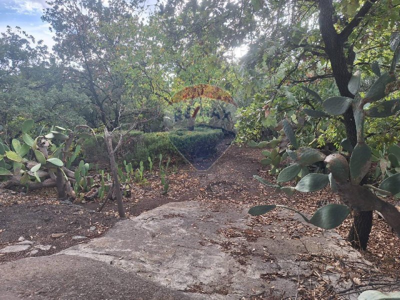 Terreno agrícola en Belpasso