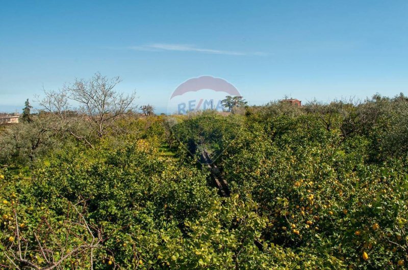 Landbouwgrond in Mascali