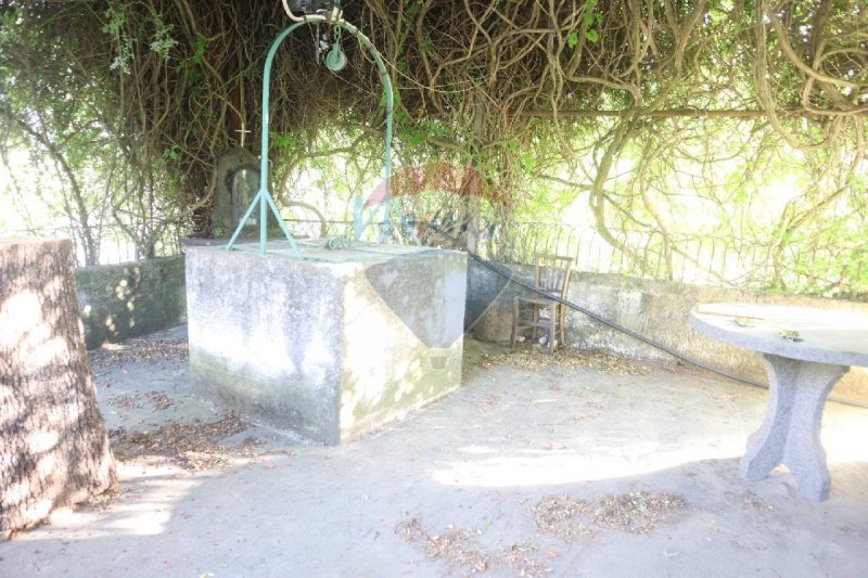 Terreno agrícola en Castiglione di Sicilia