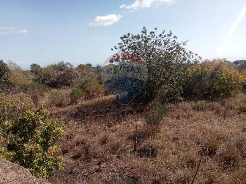 Terreno agrícola en Mascalucia