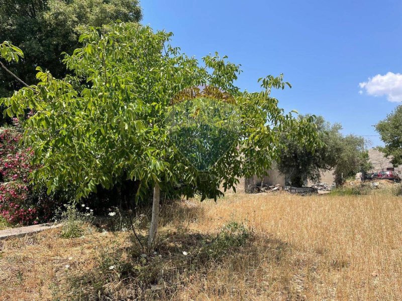 Сельскохозяйственный участок в Модика