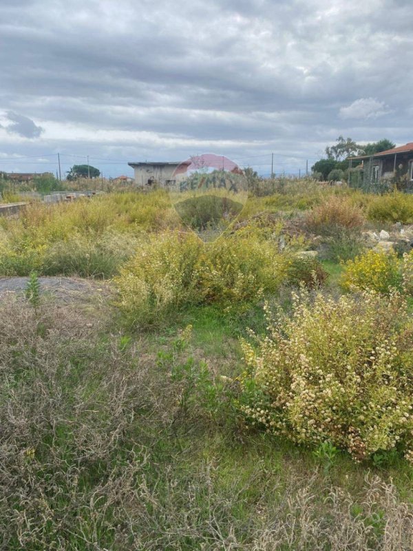 Terrain agricole à Catane