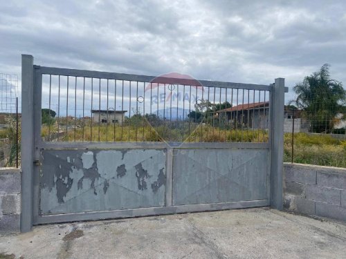 卡塔尼亞农用土地