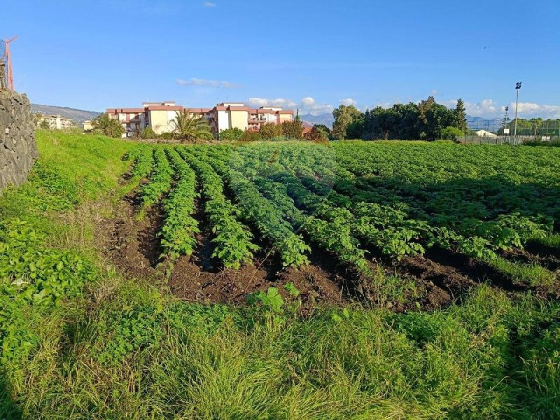 里波斯托建筑用地