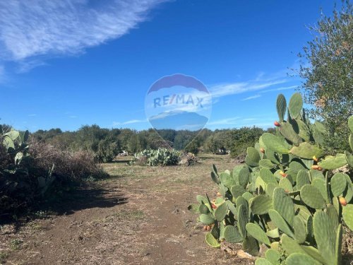 Terreno agrícola en Belpasso