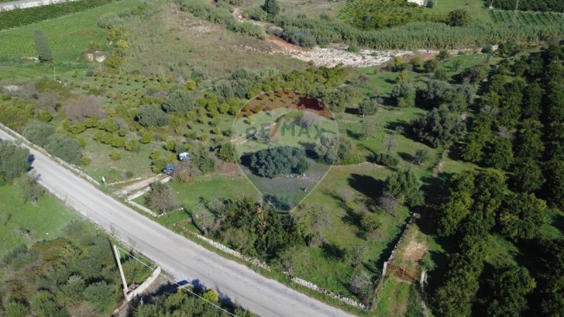 弗洛里迪亚农用土地