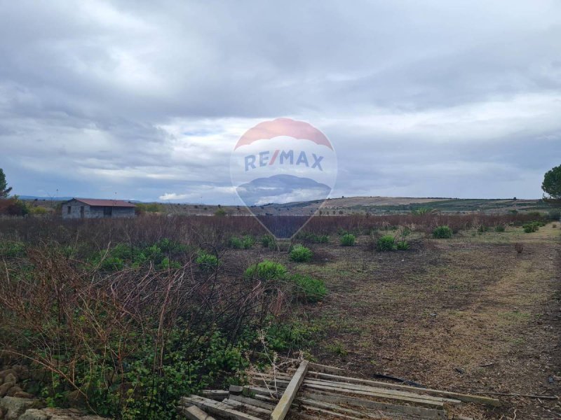 Terrain agricole à Lentini